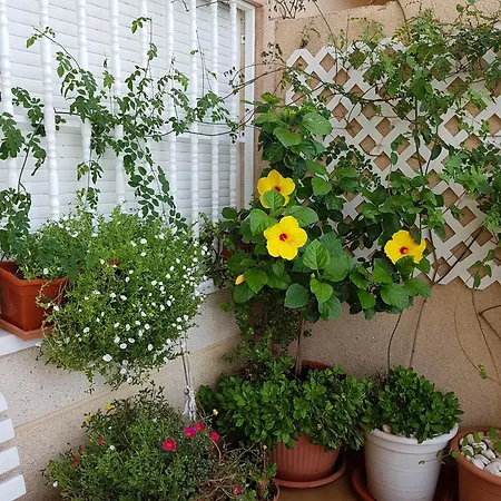 Spacious In El Campello, 120 M², Shared Pool *