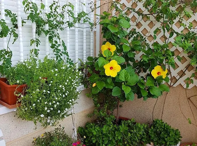 Appartement Spacious In El Campello, 120 M², Shared Pool Benimagrell